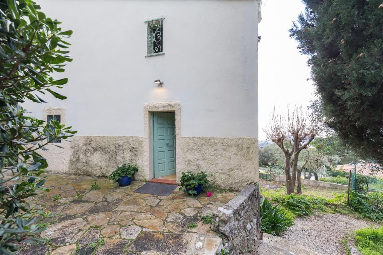 Nissa Vinaigrier Villa Nice Exterior photo
